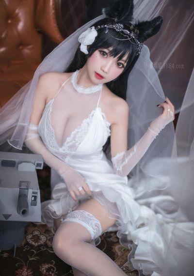 电视连续剧黑狐之风影_超清免费在线播放